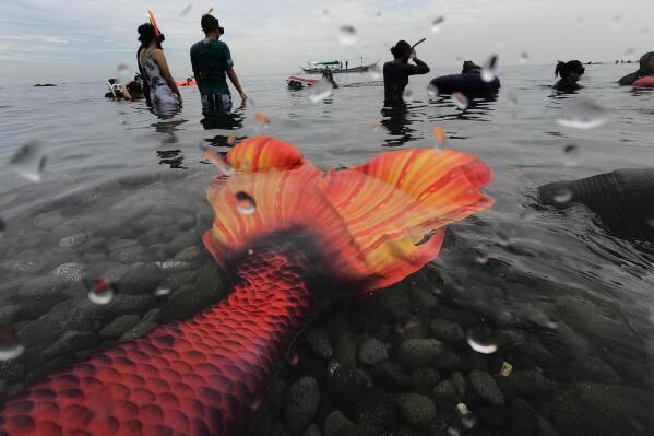 Fin tastic Growing mermaiding subculture makes a splash AP News
